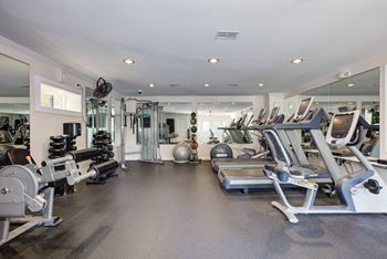 Modern equipped gym
